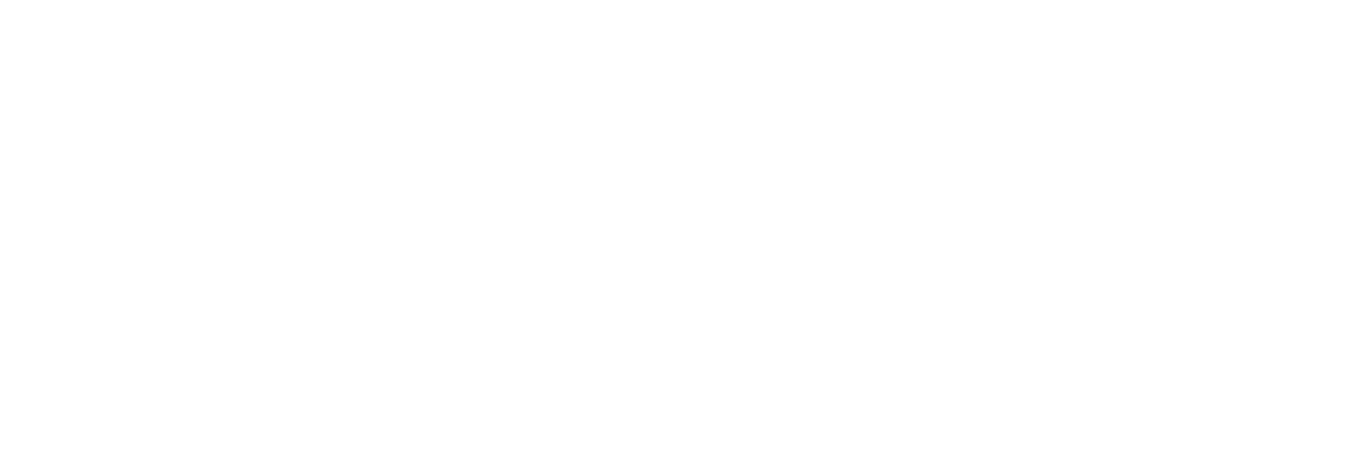 Voyager Industries Logo TM_White-01