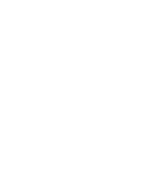 shells-custom-white